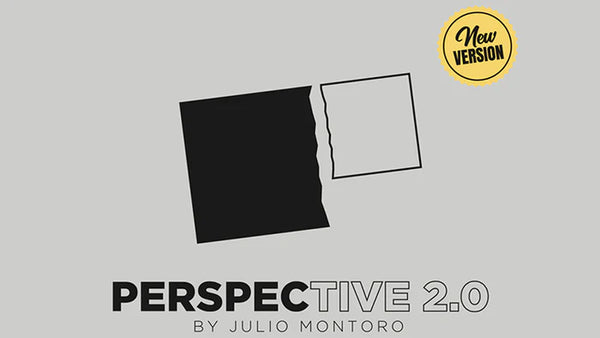 PERSPECTIVE 2.0